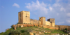 Recinto fortificado. Castillo medieval