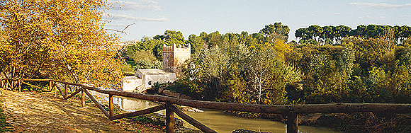 Algarrobo Mill