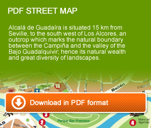 Download street map