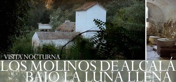 VISITA NOCTURNA  DE LOS MOLINOS DE ALCALÁ BAJO LA LUNA LLENA