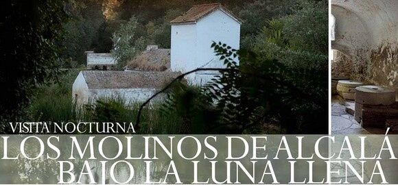 VISITA NOCTURNA DE LOS MOLINOS DE ALCALÁ BAJO LA LUNA LLENA